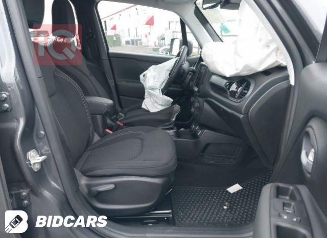 جيب رينيجيد